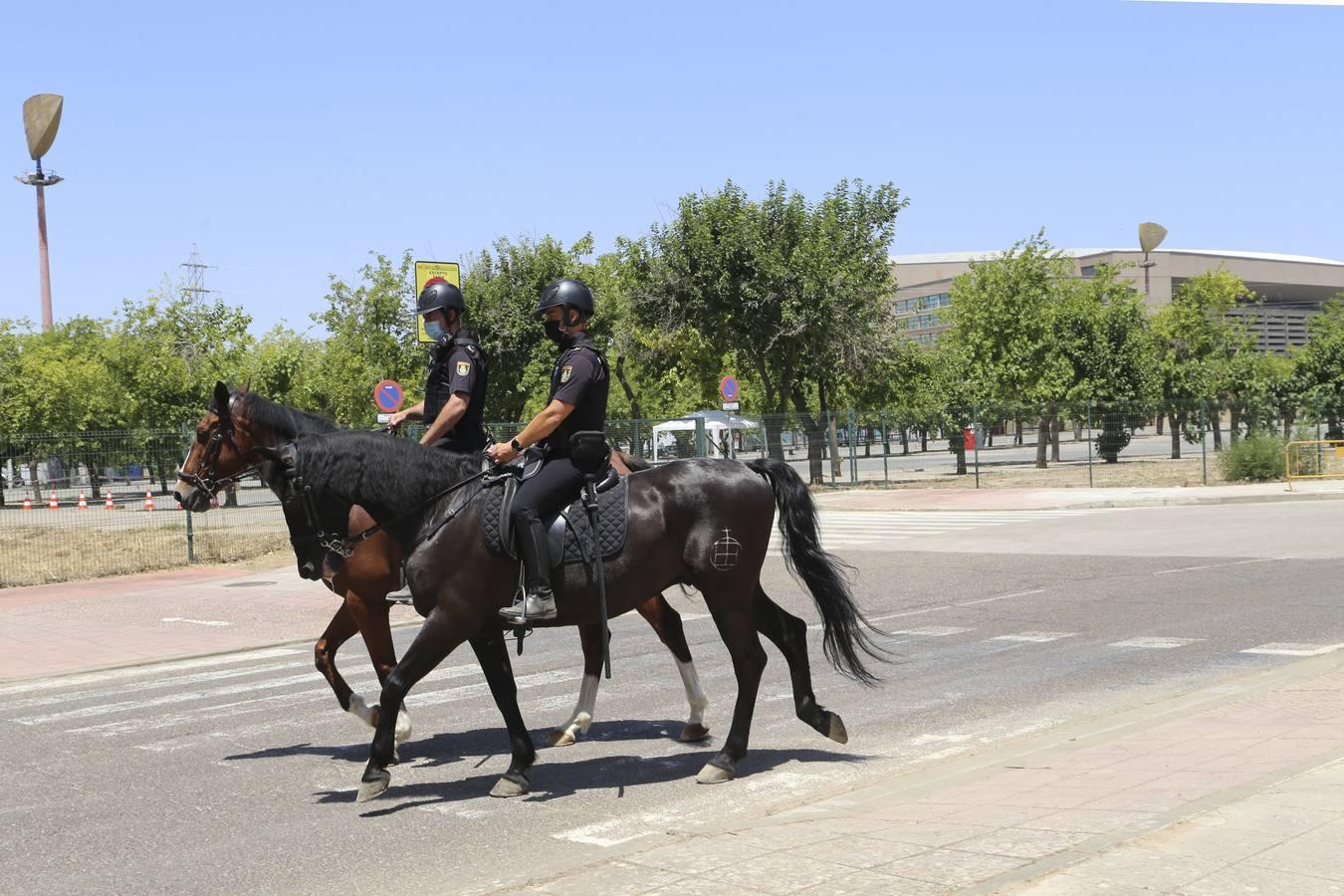 Sevilla se blinda para la Eurocopa 2020: el dispositivo policial, en imágenes