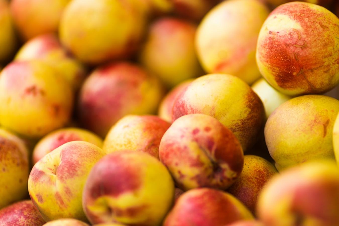 Nectarinas. La <a href="https://www.abc.es/bienestar/alimentacion/abci-nectarina-202008120948_noticia.html">nectarina</a> se trata de una fruta rica en agua y con escaso valor calórico, fresca e ideal como tentempié. Su uso culinario es igual que el de los melocotones por lo que pueden utilizarse para tartas, confituras, mermeladas o en almíbar. También es ideal aprovechar en la barbacoa preparando las nectarinas a la brasa