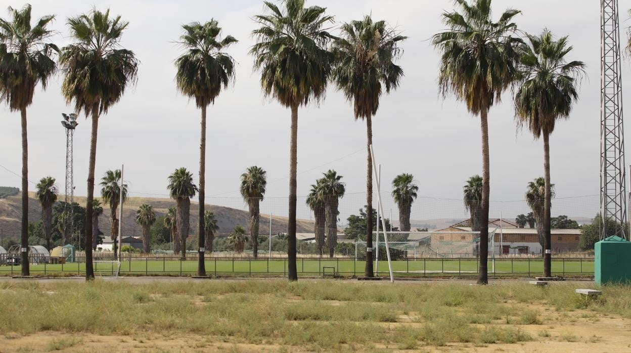 La toma de control de la Ciudad Deportiva por Tremón, en imágenes