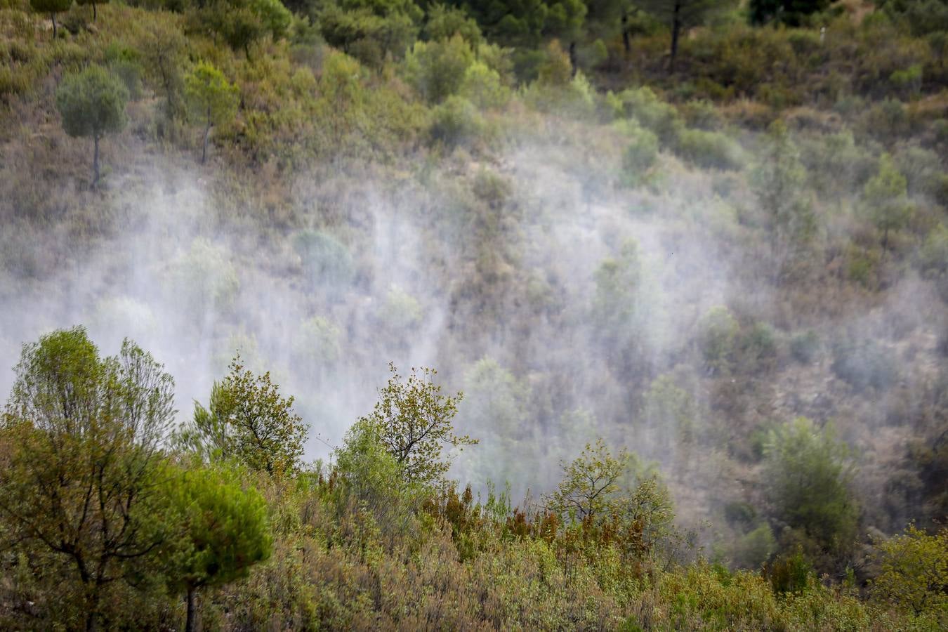 Los helicópteros Súper Puma, preparados contra el fuego