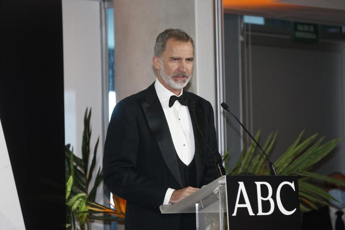 El Rey pronuncia su discurso en la ceremonia de los premios Cavia. 