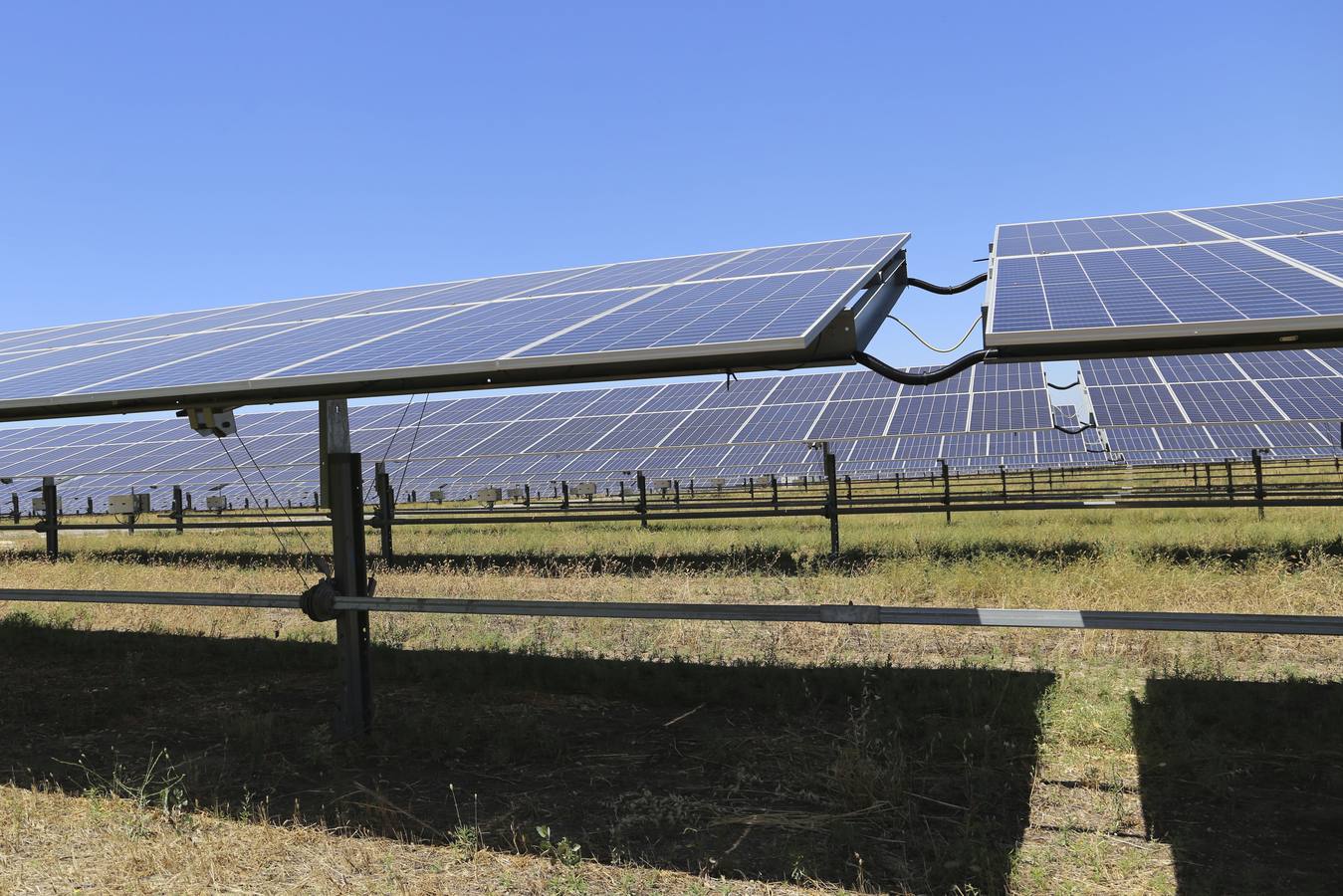 Planta solar de Amazon en Alcalá de Guadaíra