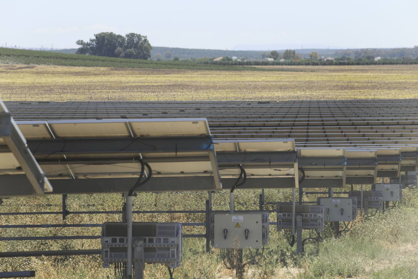 Planta solar de Amazon en Alcalá de Guadaíra