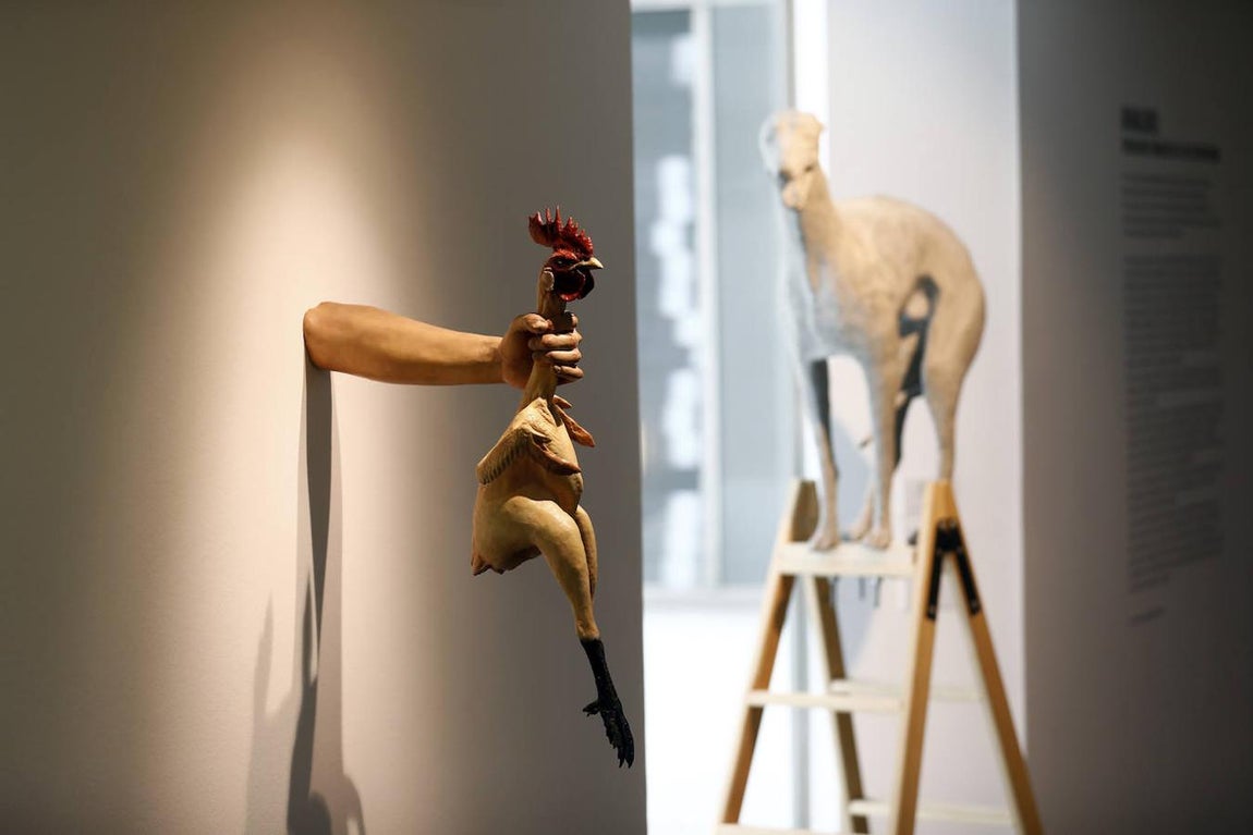 La exposición &#039;Animalario&#039;, en el centro Rafael Botí de Córdoba, en imágenes