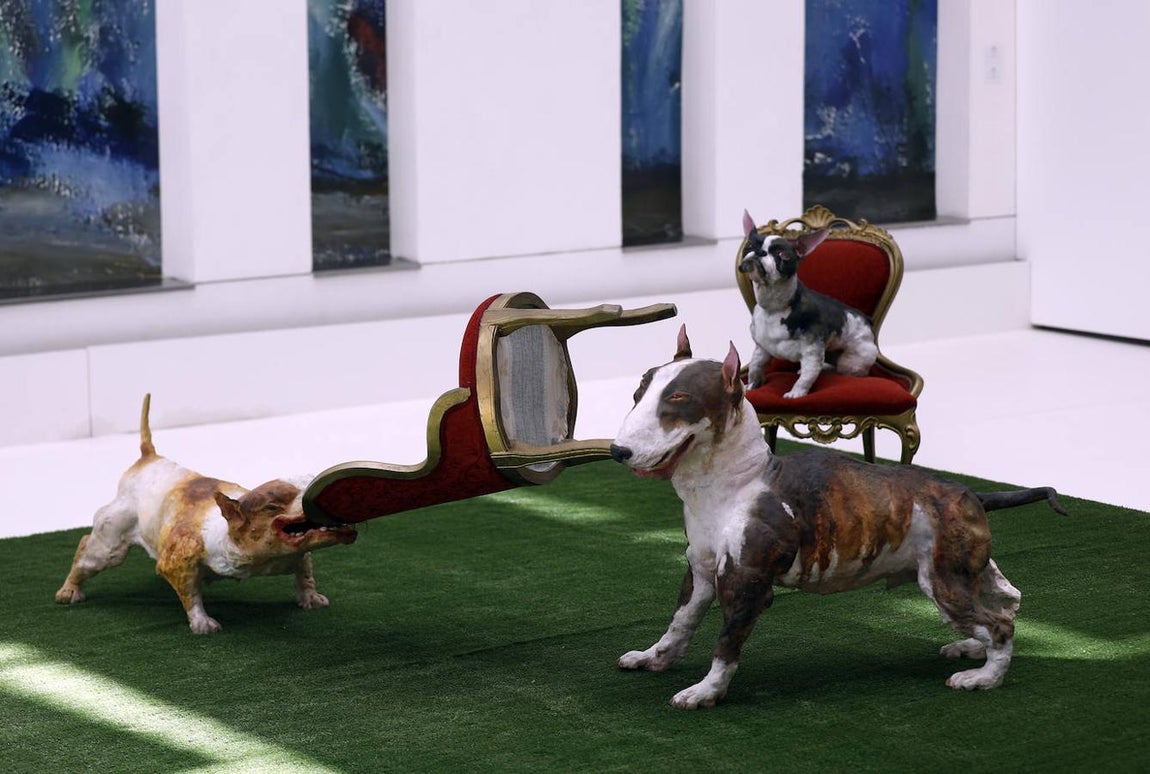 La exposición &#039;Animalario&#039;, en el centro Rafael Botí de Córdoba, en imágenes