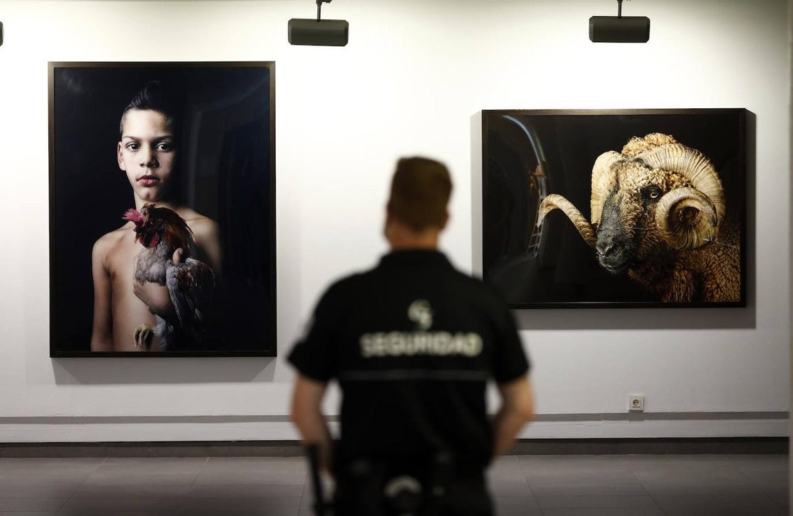 La exposición &#039;Animalario&#039;, en el centro Rafael Botí de Córdoba, en imágenes