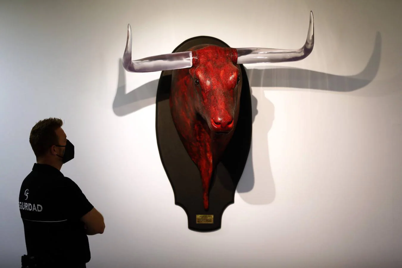 La exposición &#039;Animalario&#039;, en el centro Rafael Botí de Córdoba, en imágenes