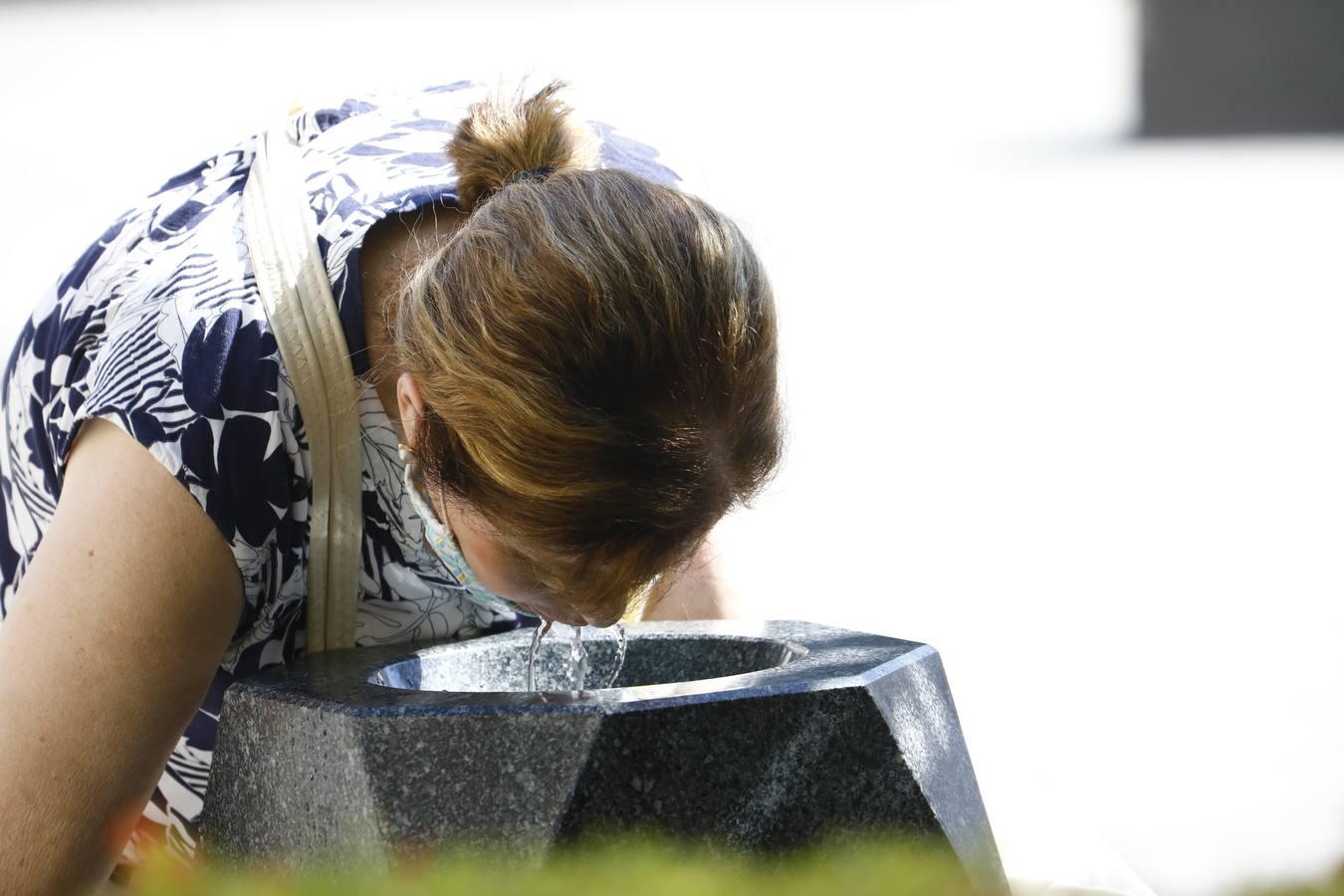 El calor en Córdoba, en imágenes