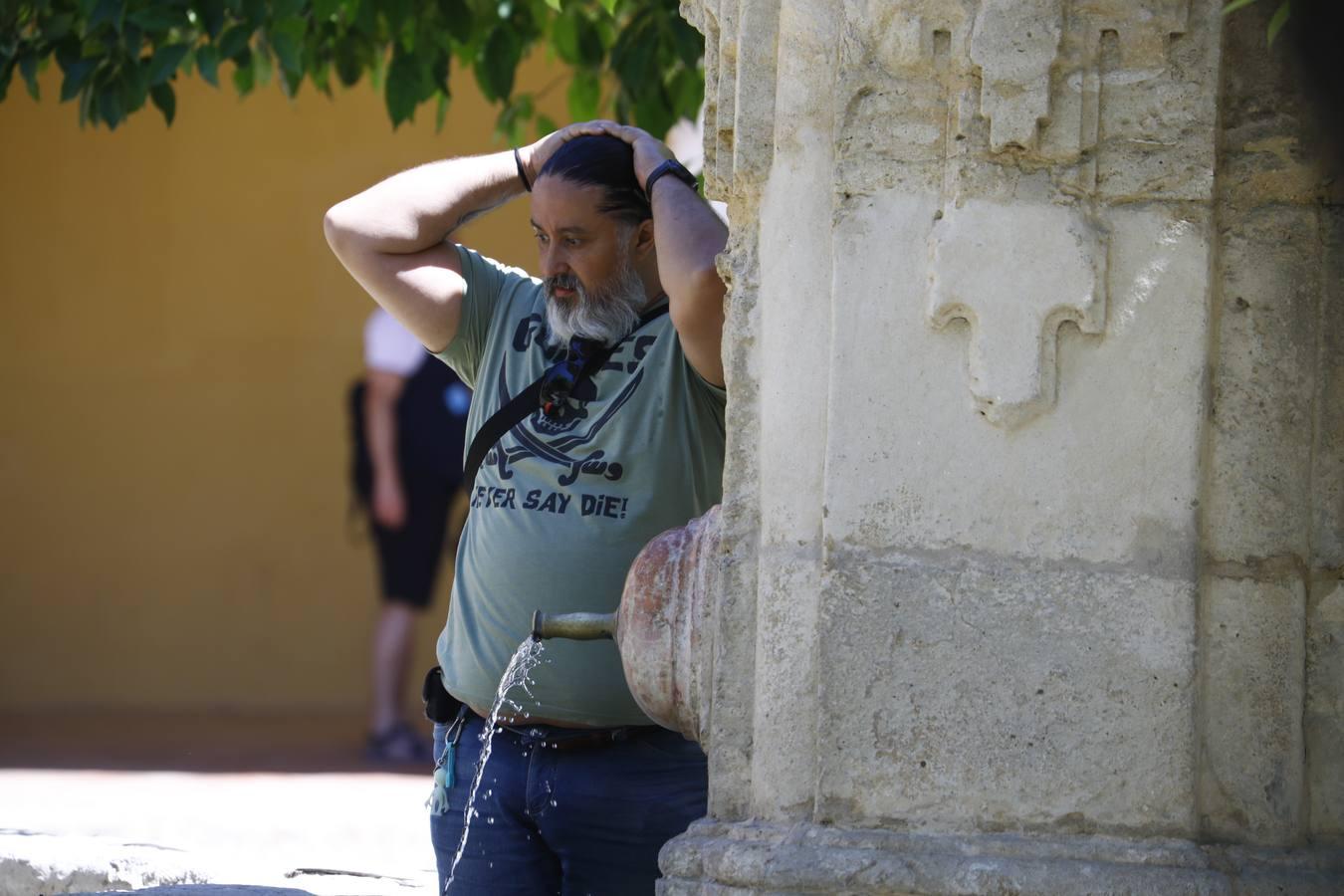 El calor en Córdoba, en imágenes