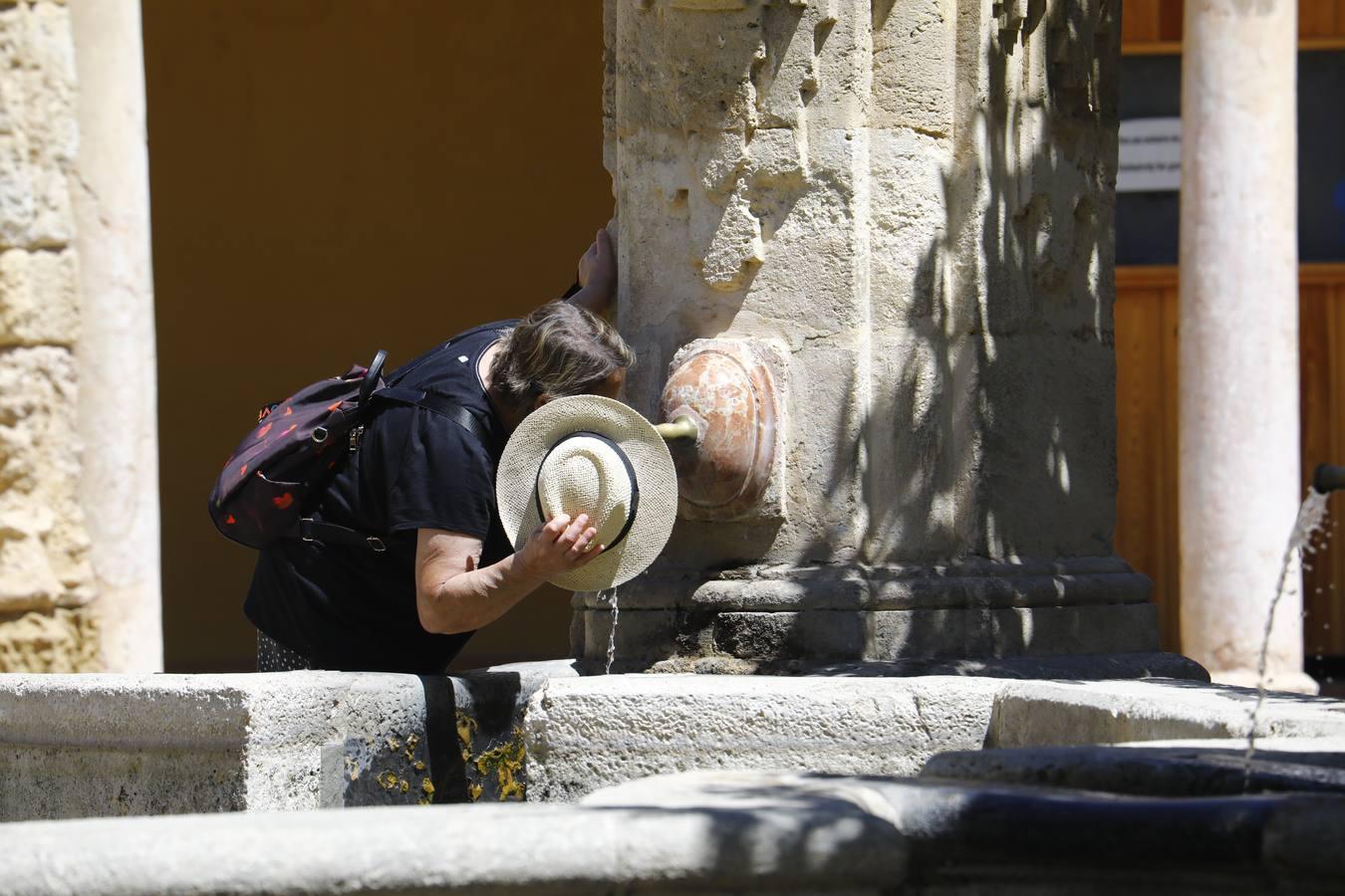 El calor en Córdoba, en imágenes