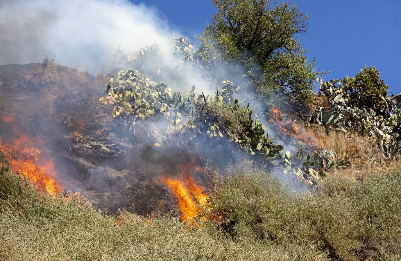 El incendio ha sido controlado a escasos metros de alcanzar varios bloques de viviendas y un centro de rehabilitación