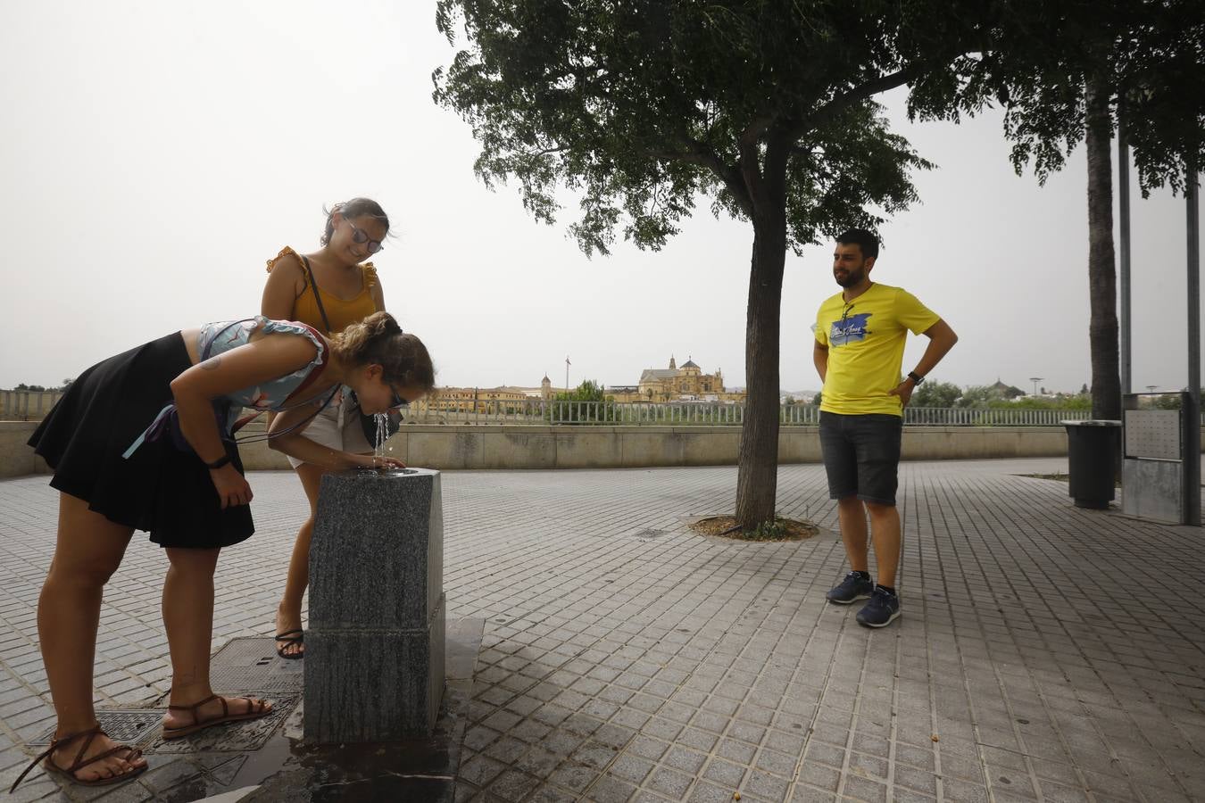 Ola de calor Córdoba | Paisaje desértico de un domingo a 40 grados