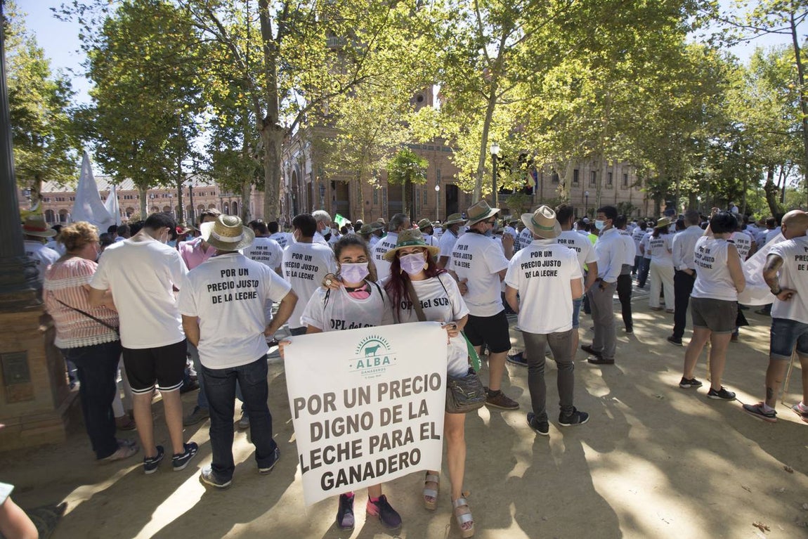 Los ganaderos no pueden soportar los costes de producción de la leche con los precios que le impone el mercado