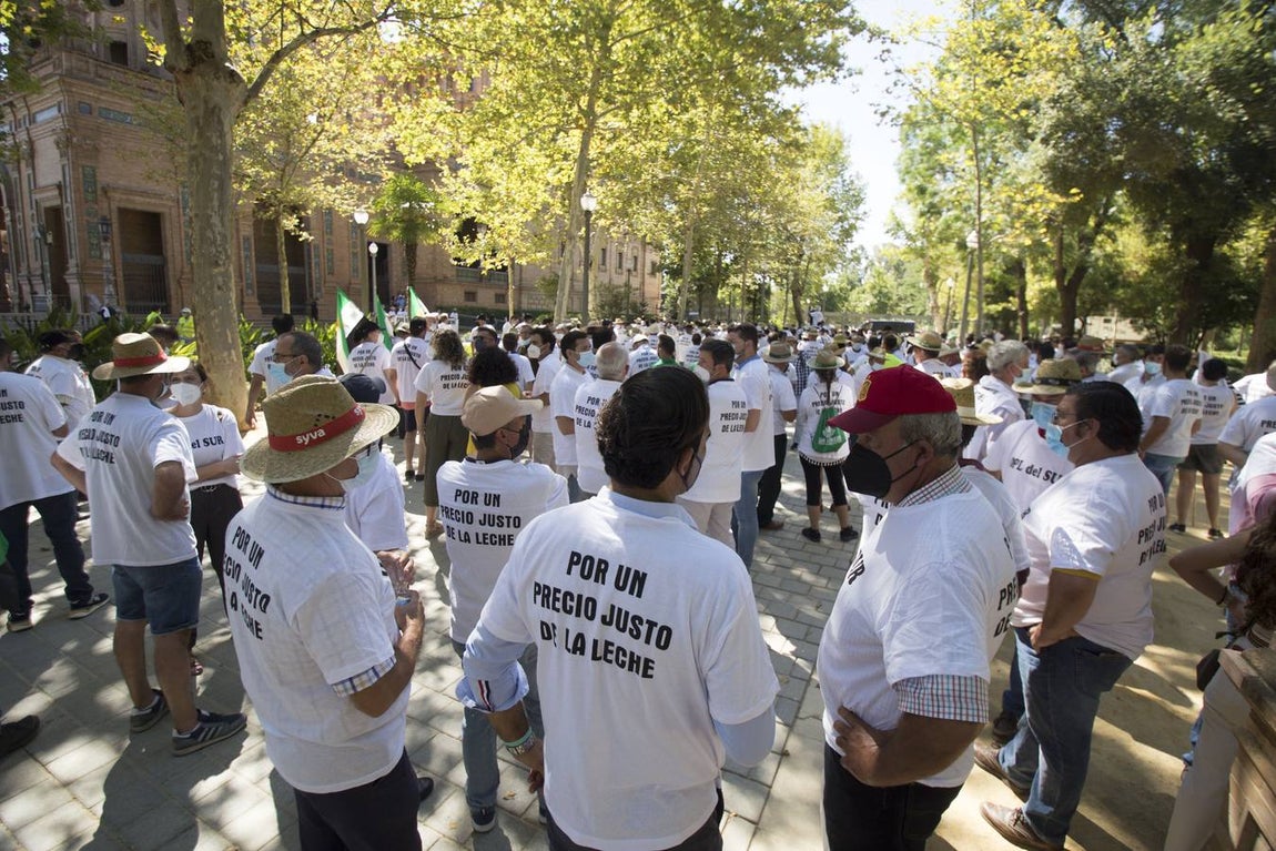 Los ganaderos no pueden soportar los costes de producción de la leche con los precios que le impone el mercado