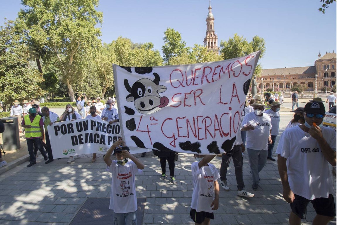 Los ganaderos no pueden soportar los costes de producción de la leche con los precios que le impone el mercado