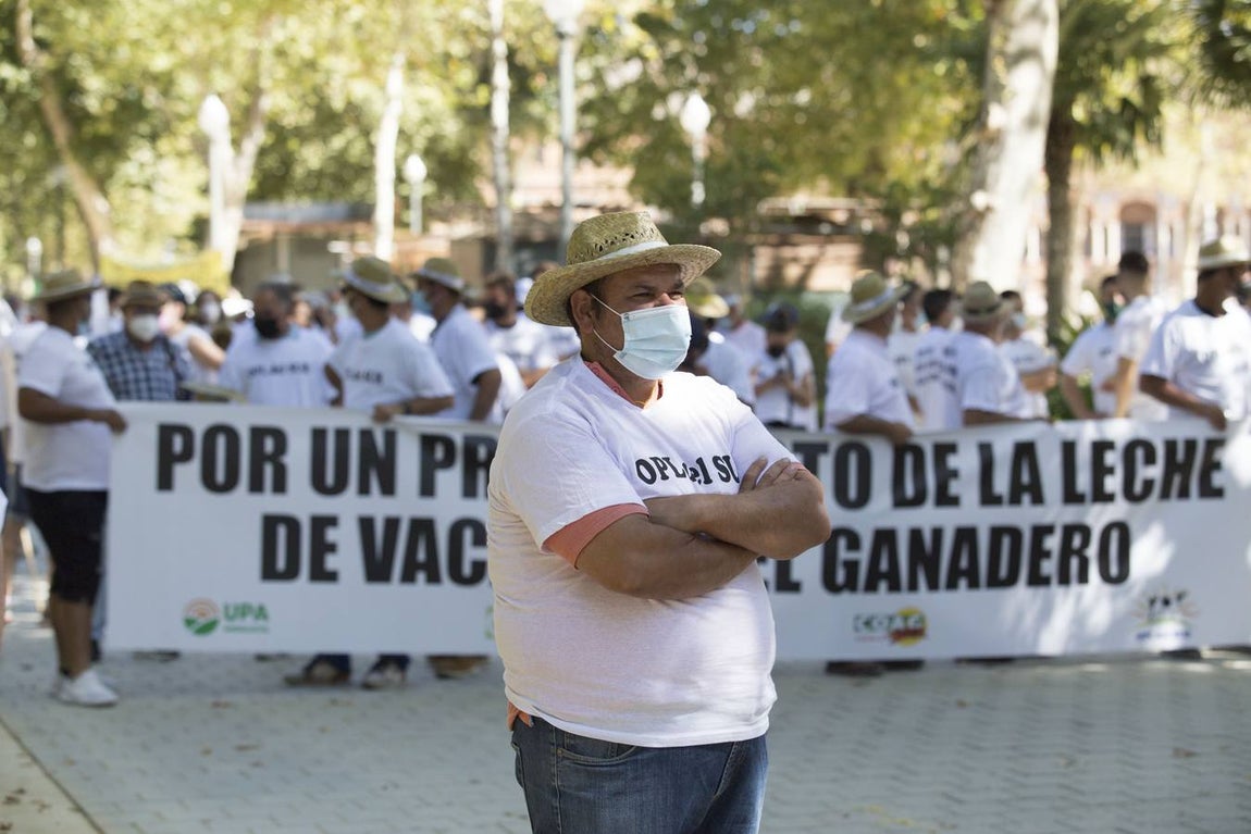 Los ganaderos no pueden soportar los costes de producción de la leche con los precios que le impone el mercado