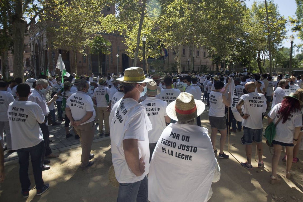 Los ganaderos no pueden soportar los costes de producción de la leche con los precios que le impone el mercado