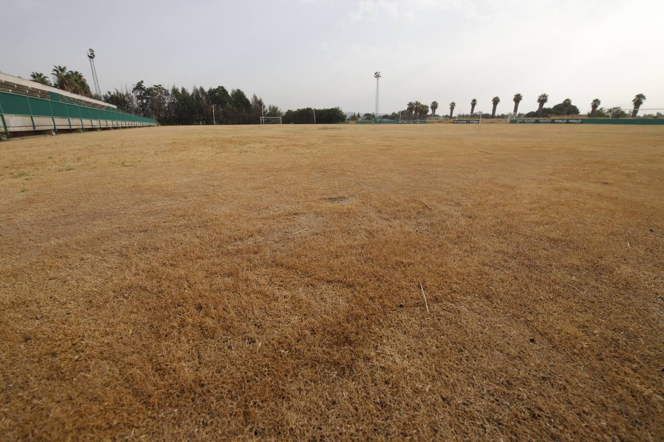 El mal estado de la Ciudad deportiva del Córdoba, en imágenes