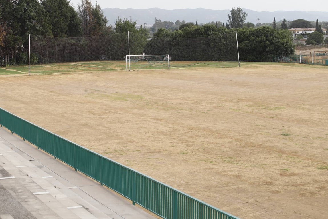 El mal estado de la Ciudad deportiva del Córdoba, en imágenes