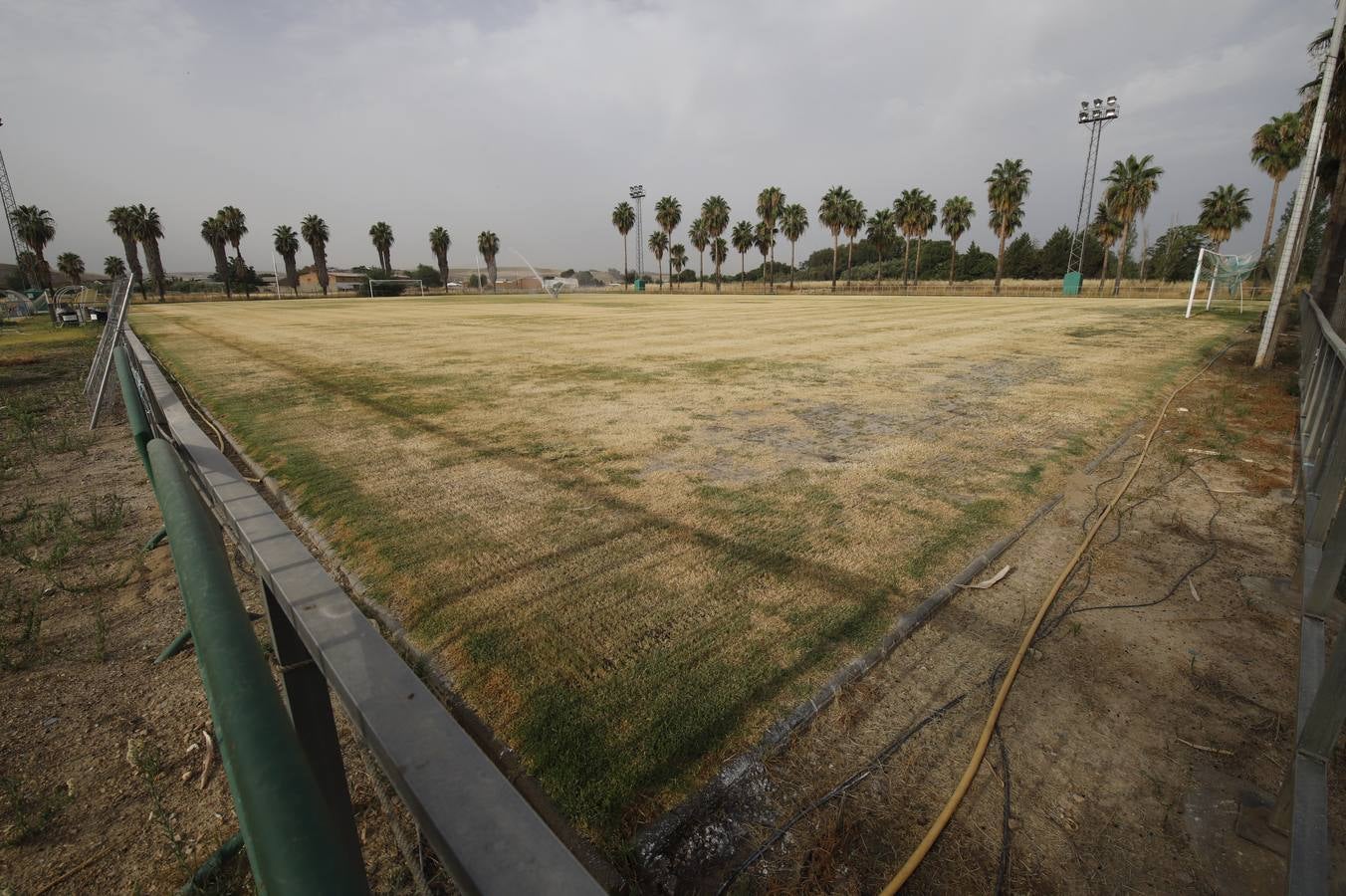 El mal estado de la Ciudad deportiva del Córdoba, en imágenes