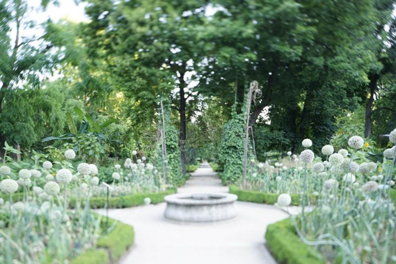 El Jardín Botánico de Madrid. 