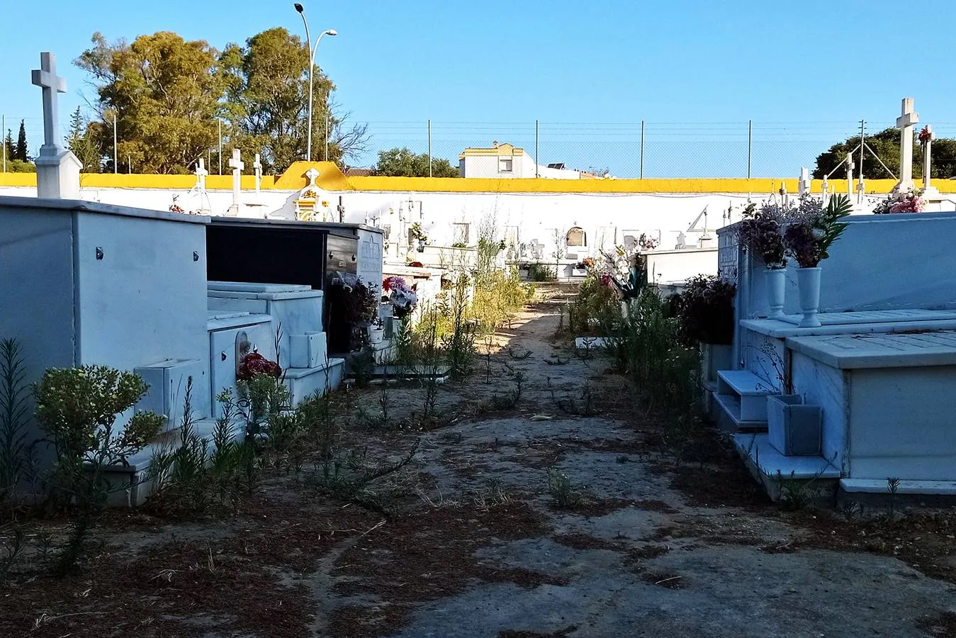 FOTOS: Lamentable estado del Cementerio de El Puerto