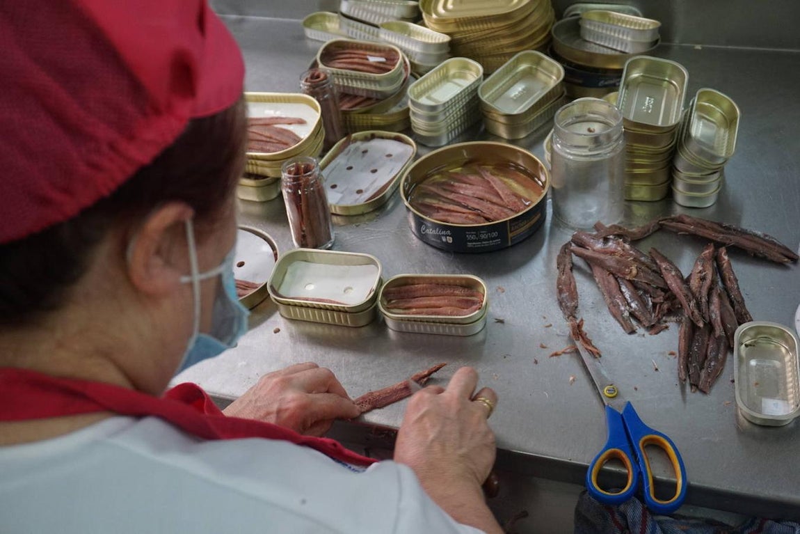 4. Estas expertas mujeres, cuyo oficio se suele aprender heredado de madres a hijas, realizan uno de los procesos más delicados. Con la única ayuda de sus manos, una puntilla y unas tijeras, terminan de limpiar de piel y espinas los lomos de anchoa, además de retirar la cola una a una. Son las conocidas como 'sobadoras'. Cada una de ellas es capaz dejar listas para conservar centenares de anchoas al día.