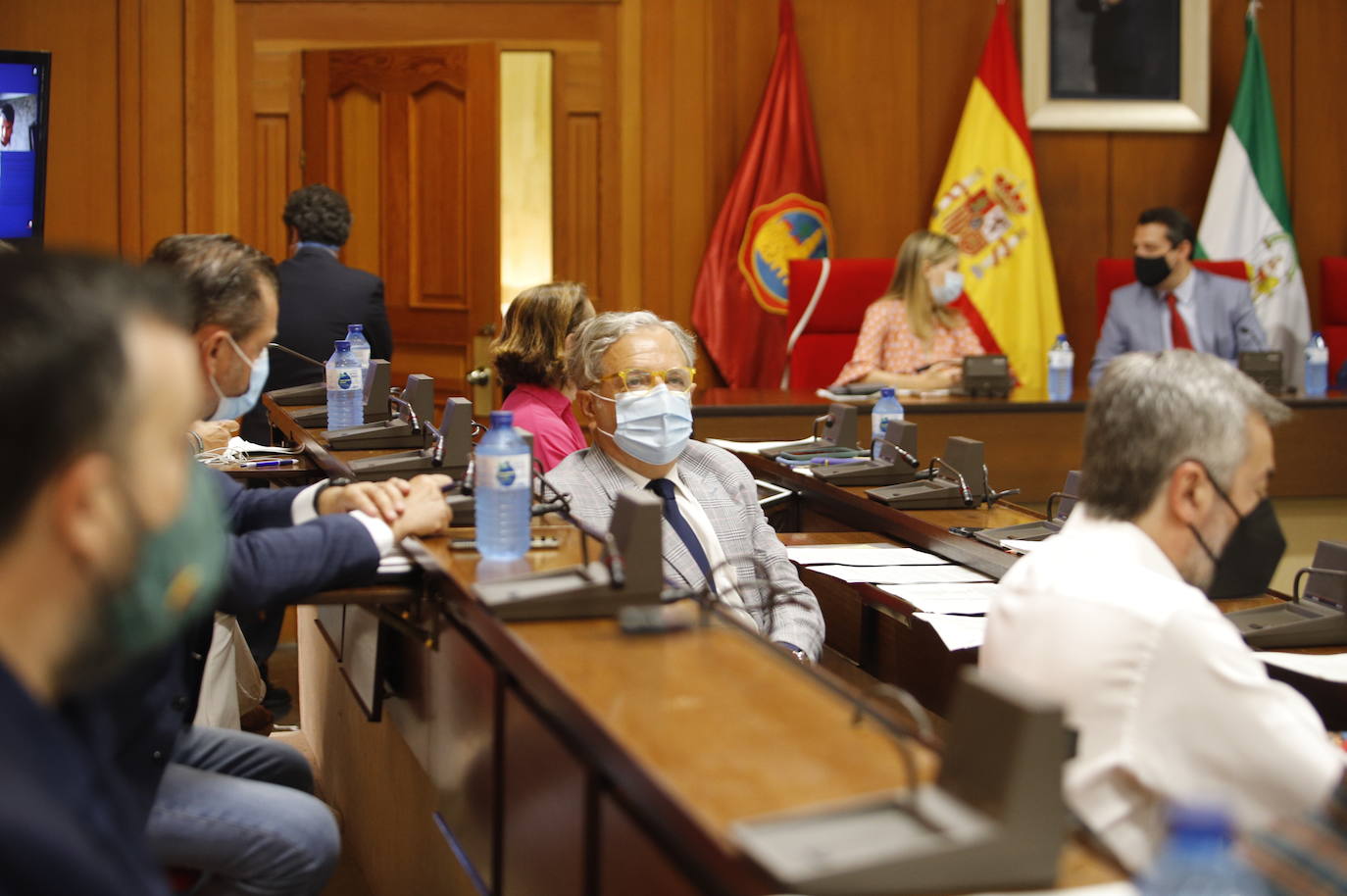 El último Pleno del Ayuntamiento de Córdoba del curso, en imágenes