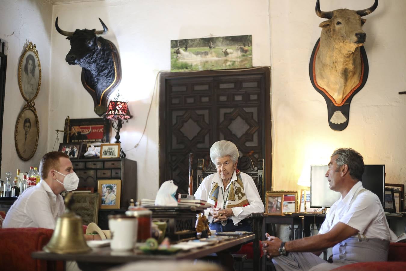 Visita a la finca La Ruiza, que alberga los toros de la próxima corrida en el Puerto de Santa María