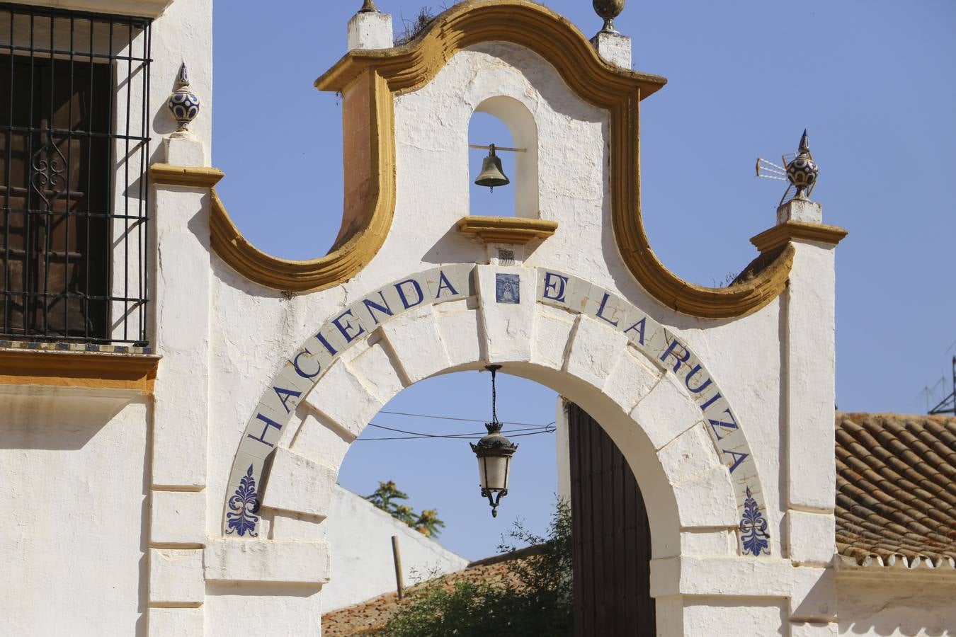 Visita a la finca La Ruiza, que alberga los toros de la próxima corrida en el Puerto de Santa María