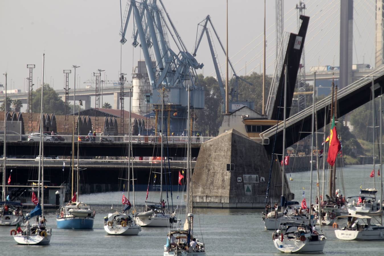 Los veleros se dirigen a Cádiz dejando una curiosa imagen en la dársena del Guadalquivir