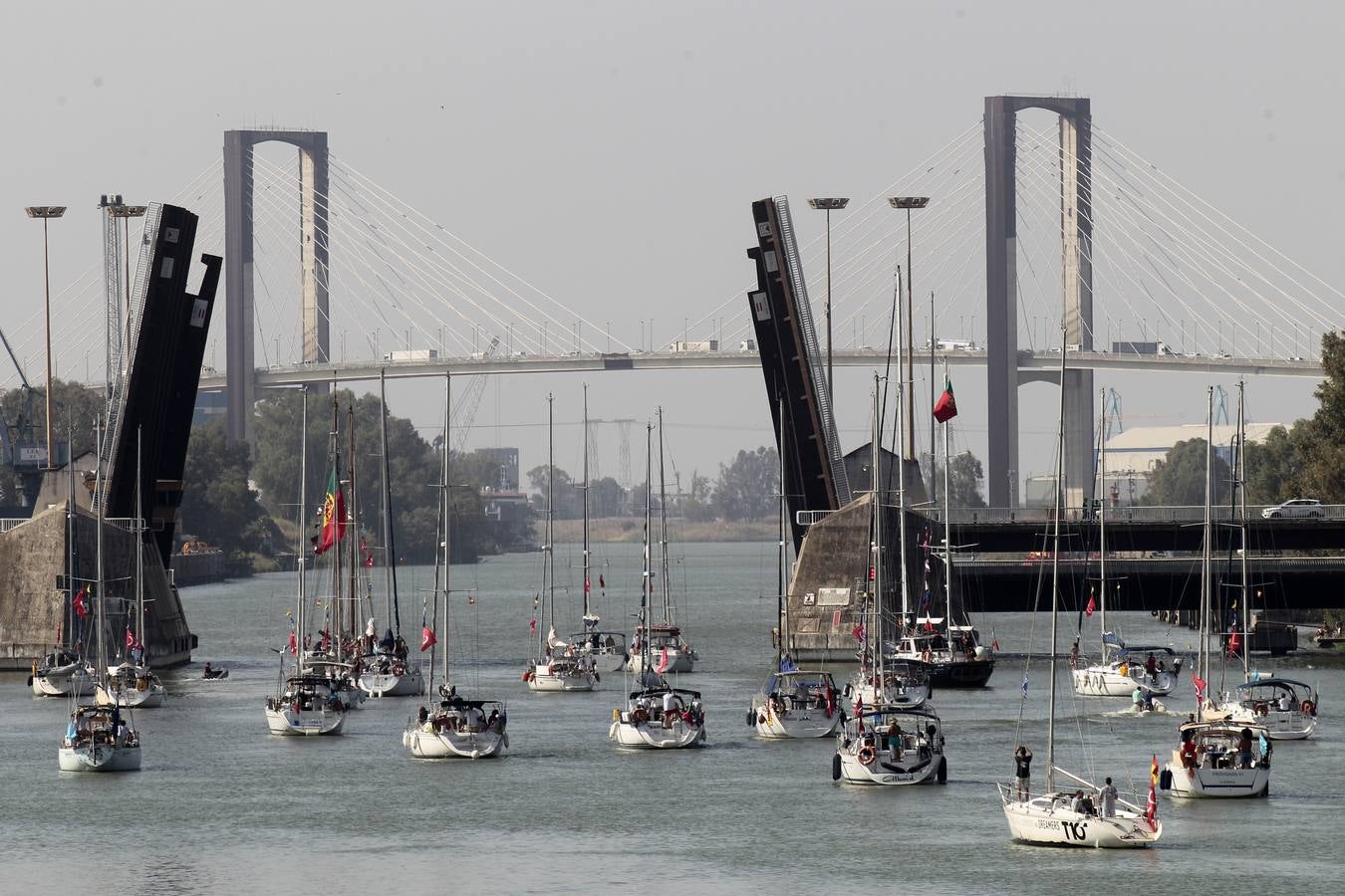 Los veleros se dirigen a Cádiz dejando una curiosa imagen en la dársena del Guadalquivir