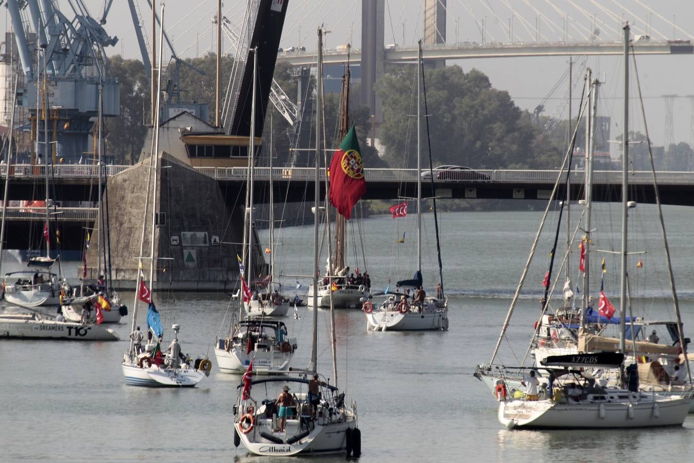 Los veleros se dirigen a Cádiz dejando una curiosa imagen en la dársena del Guadalquivir