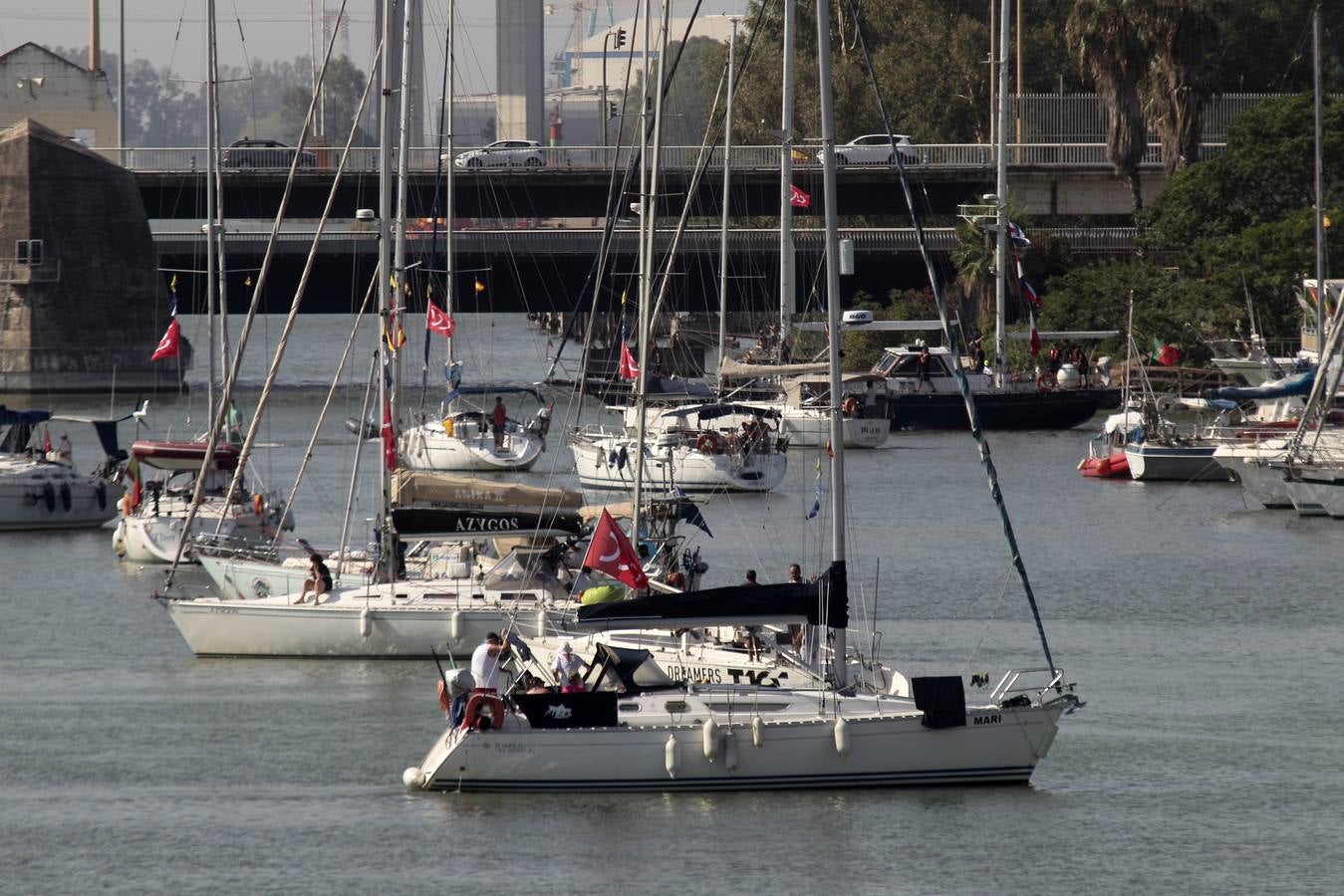 Los veleros se dirigen a Cádiz dejando una curiosa imagen en la dársena del Guadalquivir