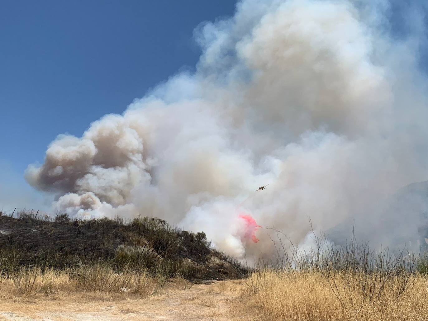 El incendio forestal en la Sierra de Cabra, en imágenes