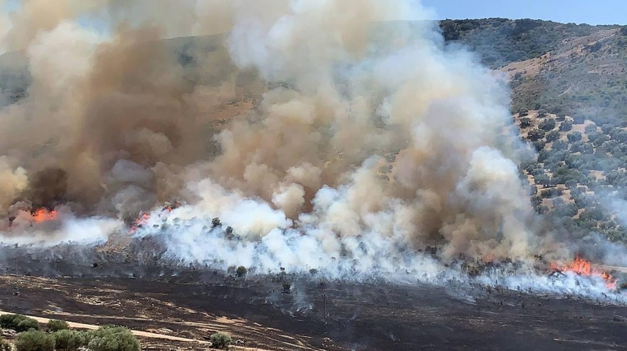 El incendio forestal en la Sierra de Cabra, en imágenes