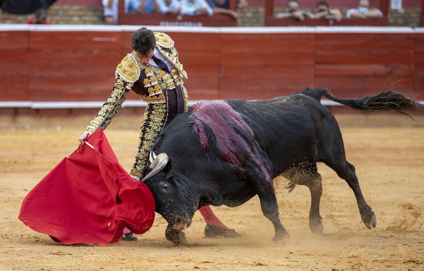 Un triunfal Daniel Luque suaviza el decepcionante retorno de Torrestrella