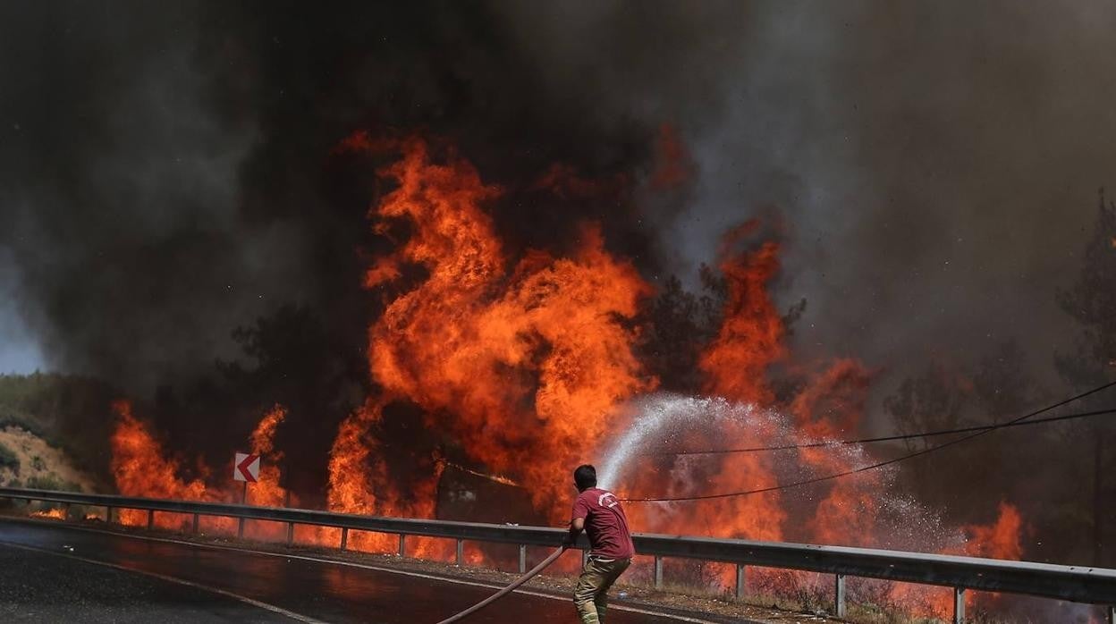 Los incendios forestales destruyen varios países mediterráneos