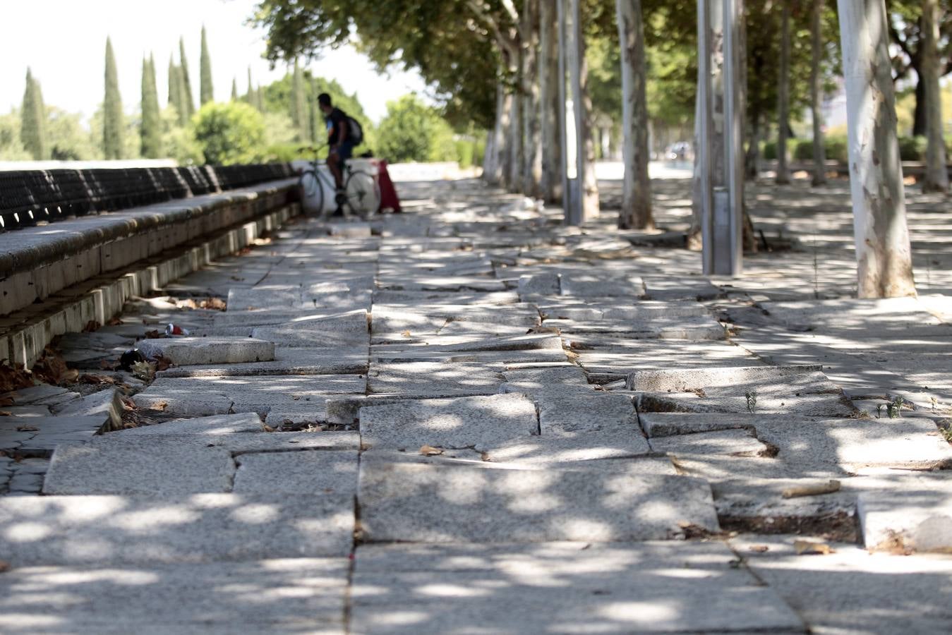 El paradigma de la falta de mantenimiento es Torneo,  donde este martes han comenzado las obras para su transformación en bulevar verde. La muralla de la Macarena o las columnas de la calle Mármoles son otros ejemplos