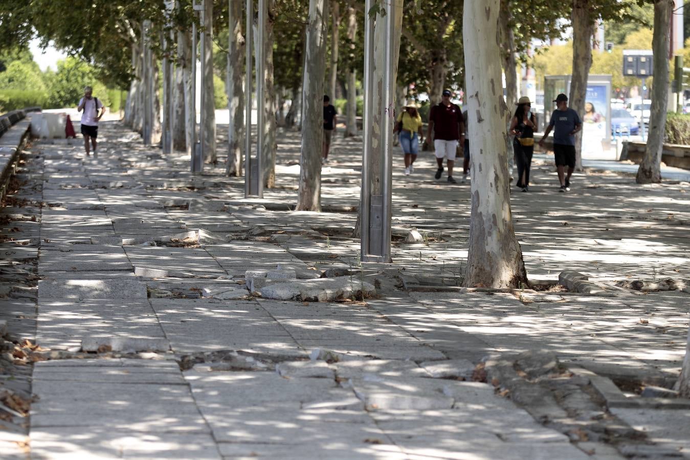 El paradigma de la falta de mantenimiento es Torneo,  donde este martes han comenzado las obras para su transformación en bulevar verde. La muralla de la Macarena o las columnas de la calle Mármoles son otros ejemplos