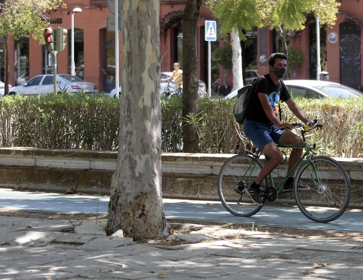 El paradigma de la falta de mantenimiento es Torneo,  donde este martes han comenzado las obras para su transformación en bulevar verde. La muralla de la Macarena o las columnas de la calle Mármoles son otros ejemplos