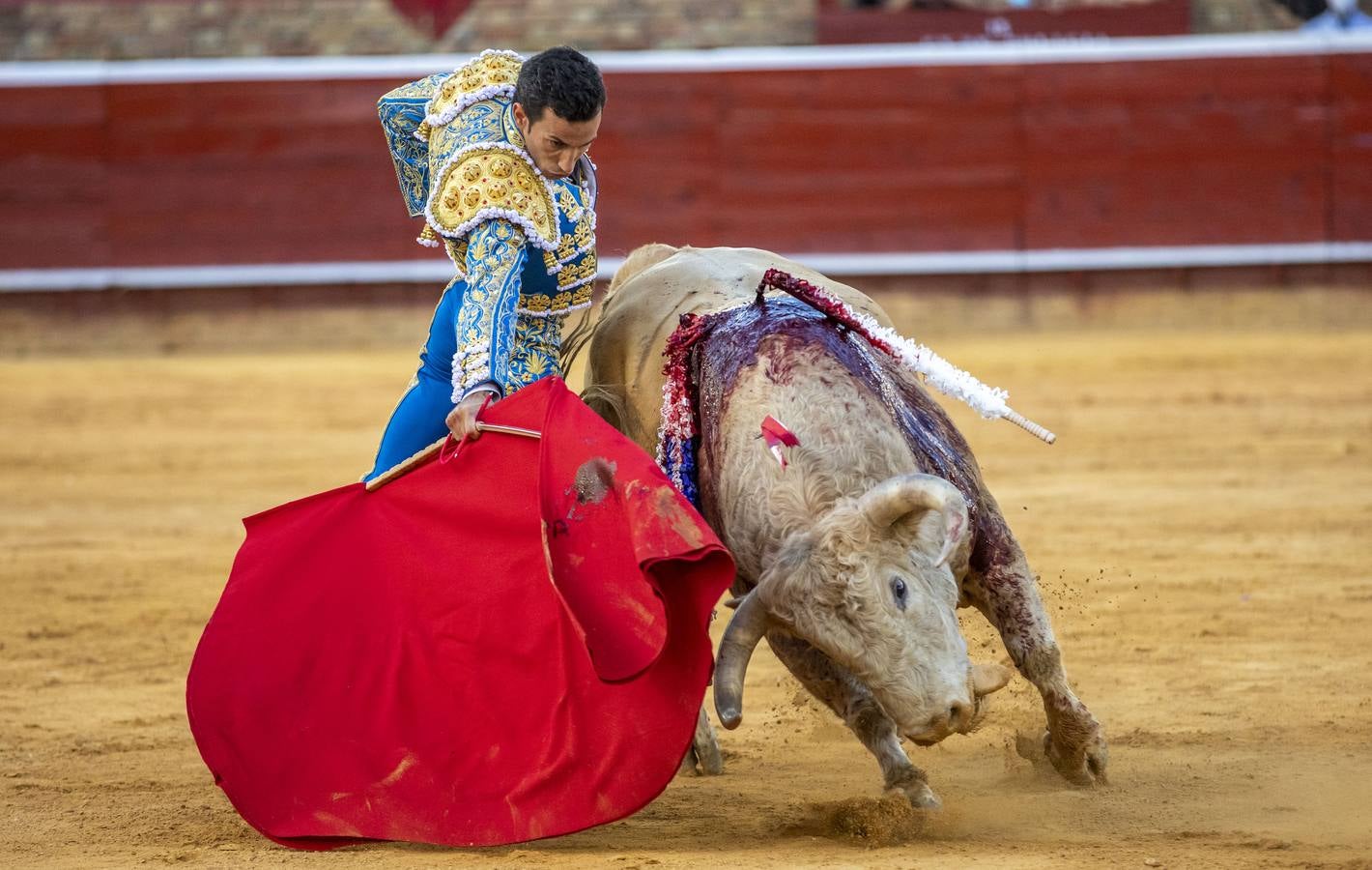 Los astados de esta última corrida llevaban el hierro y la divisa de Juan Pedro Domecq