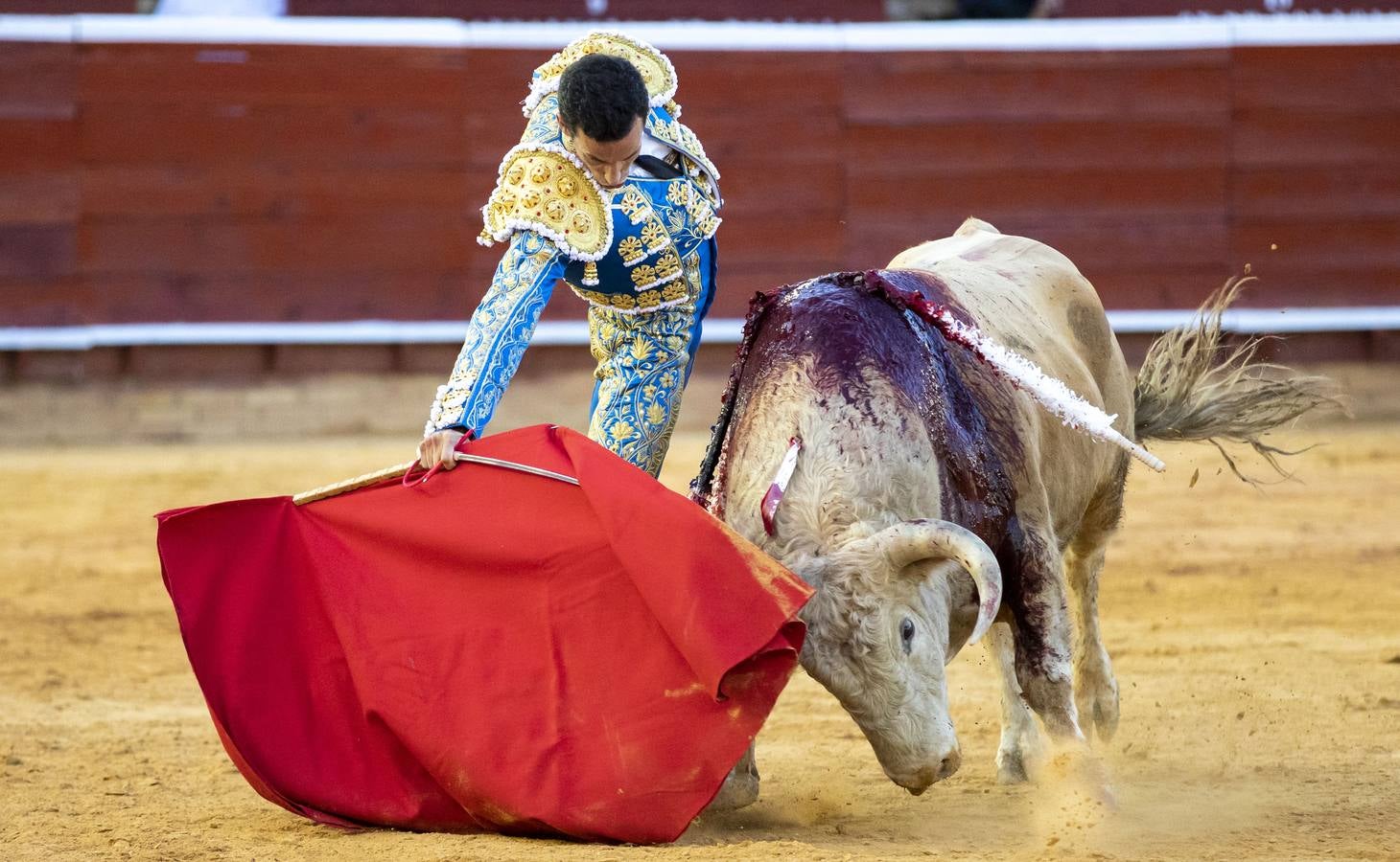 Los astados de esta última corrida llevaban el hierro y la divisa de Juan Pedro Domecq