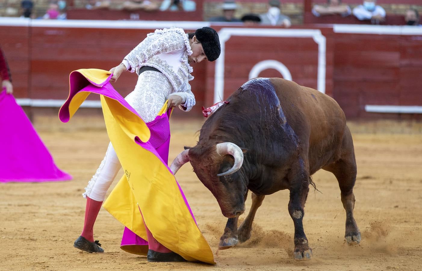 Los astados de esta última corrida llevaban el hierro y la divisa de Juan Pedro Domecq