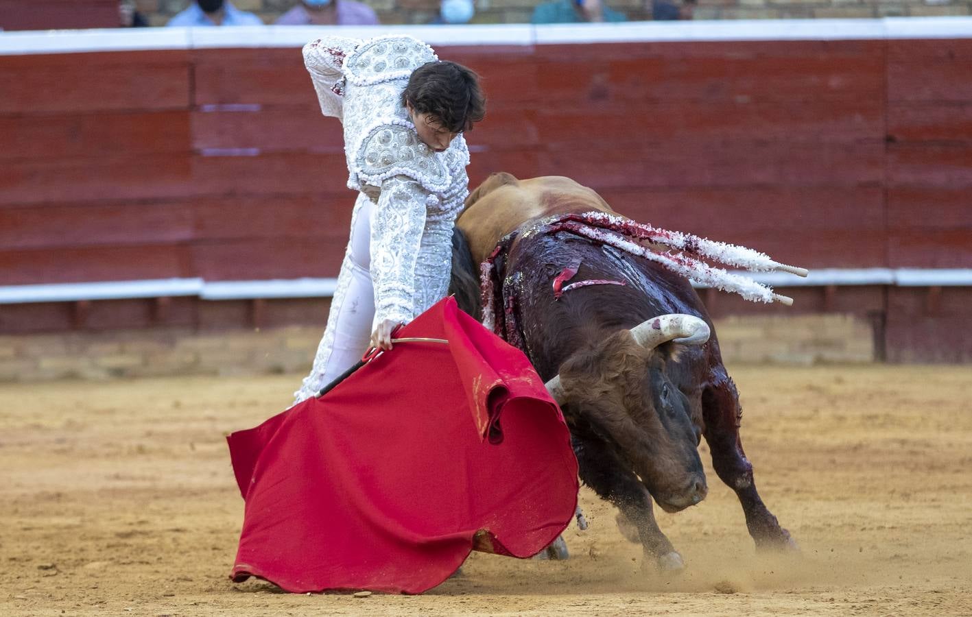 Los astados de esta última corrida llevaban el hierro y la divisa de Juan Pedro Domecq