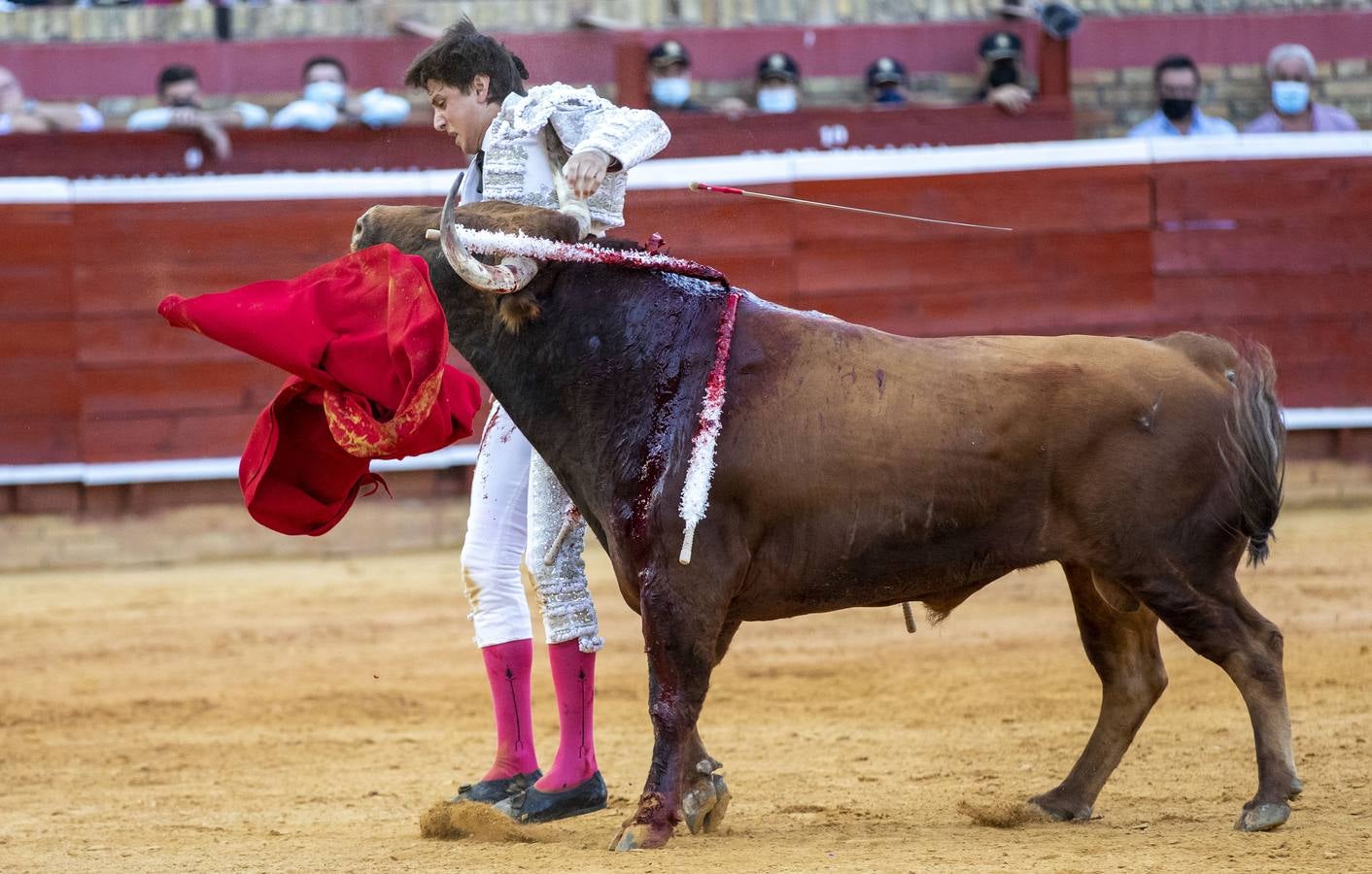 Los astados de esta última corrida llevaban el hierro y la divisa de Juan Pedro Domecq