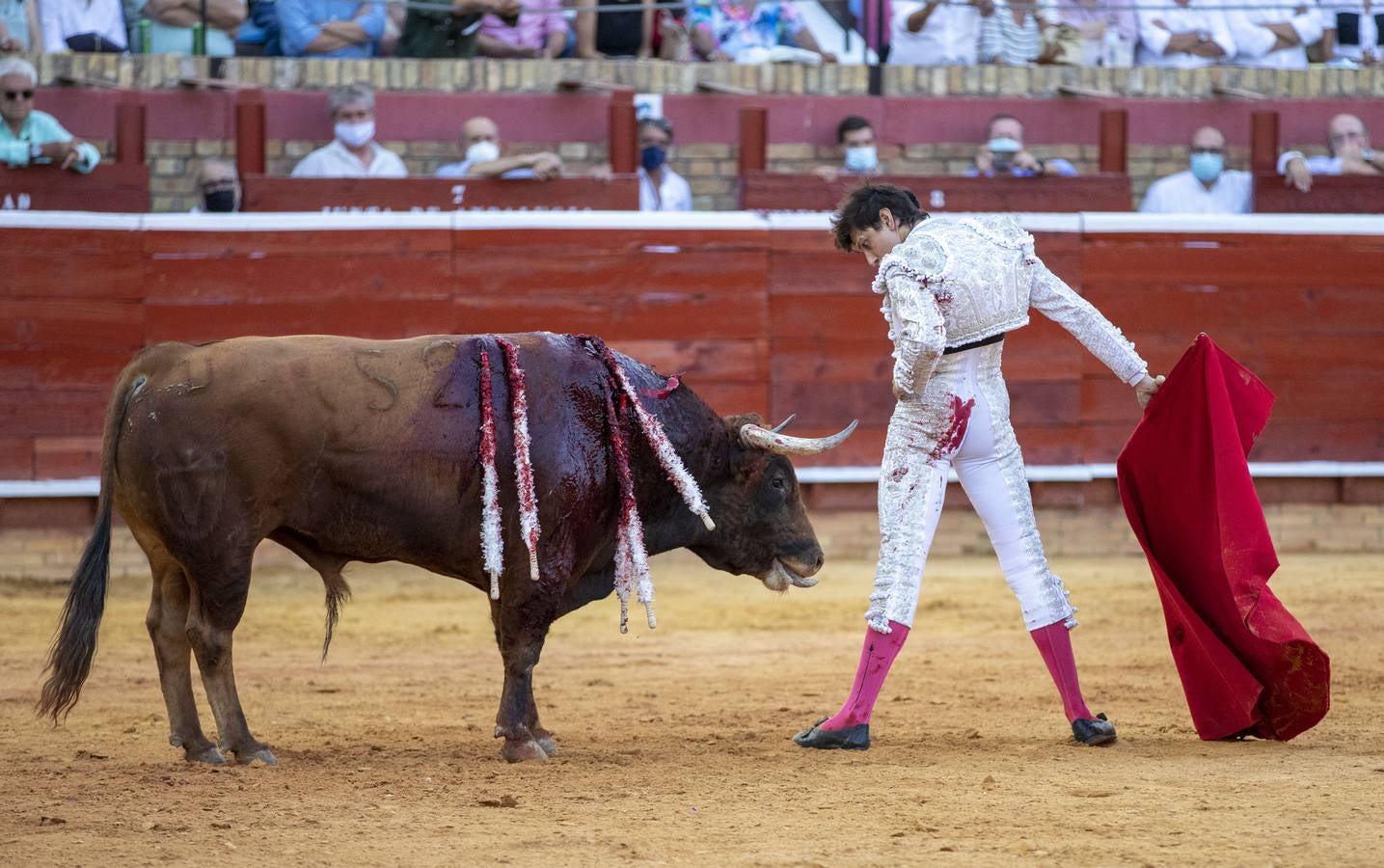 Los astados de esta última corrida llevaban el hierro y la divisa de Juan Pedro Domecq