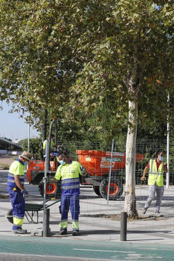 En imágenes, arrancan las obras en la calle Torneo