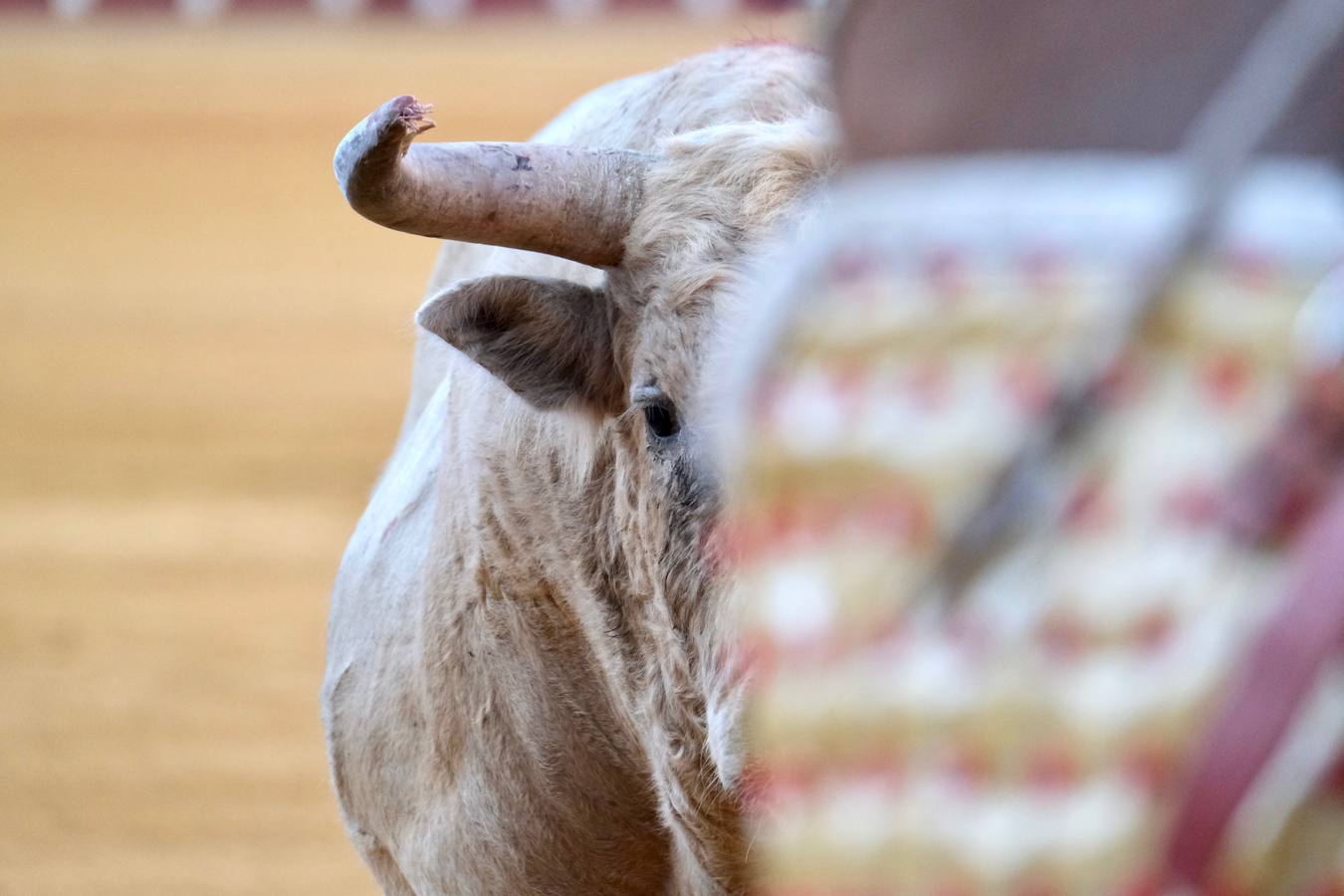 Encerrona de Morante de la Puebla en el Puerto de Santa María