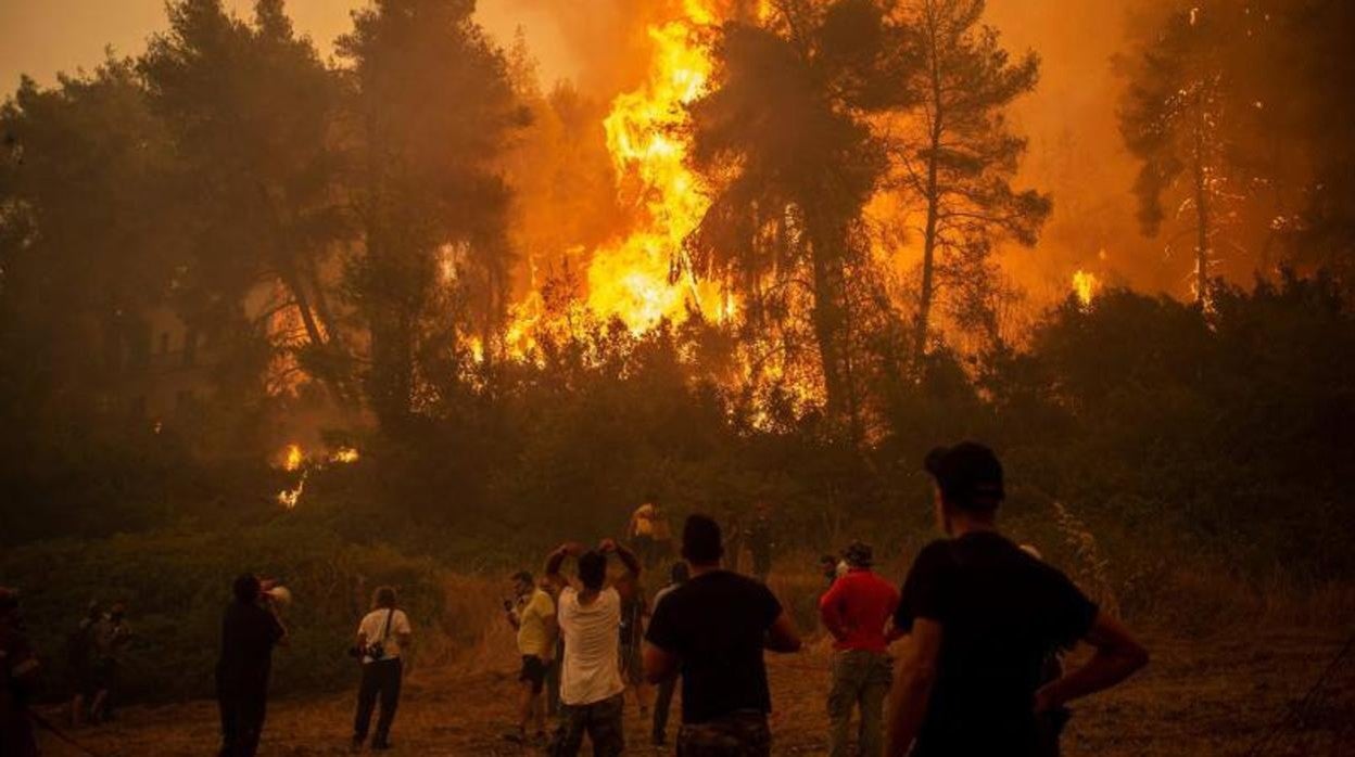 El infierno de la isla de Evia, en imágenes